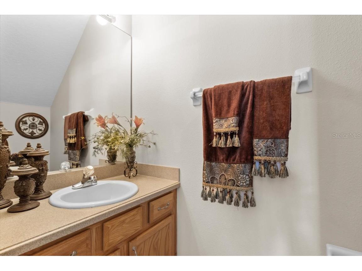 1679 W Spring Meadow Loop Lecanto FL 34461 OM706776 image16