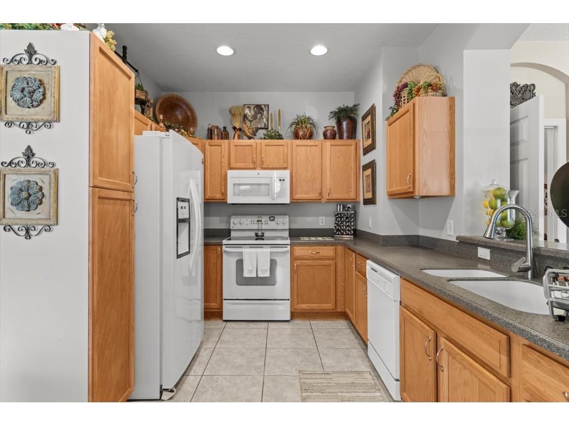 1679 W Spring Meadow Loop Lecanto FL 34461 OM706776 image7