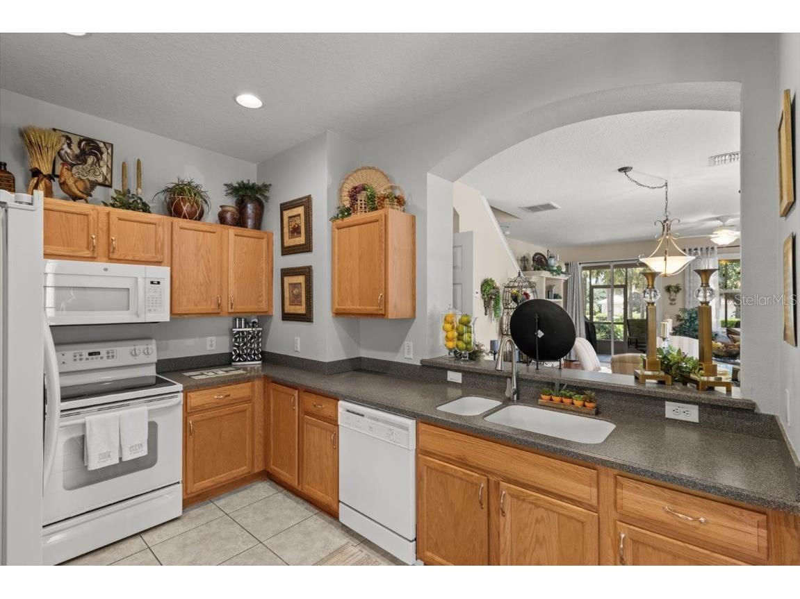 1679 W Spring Meadow Loop Lecanto FL 34461 OM706776 image8