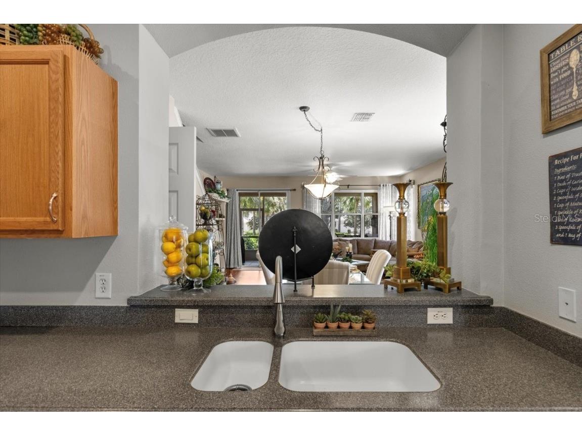 1679 W Spring Meadow Loop Lecanto FL 34461 OM706776 image9