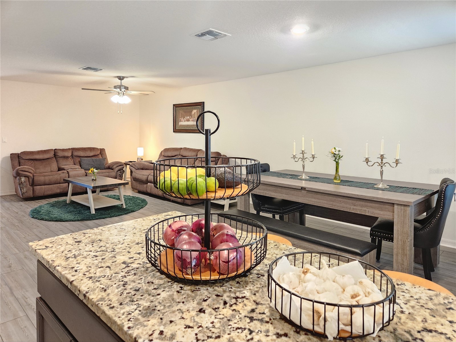 1679 Wynford Circle Tavares FL 32778 TB8510224 image11