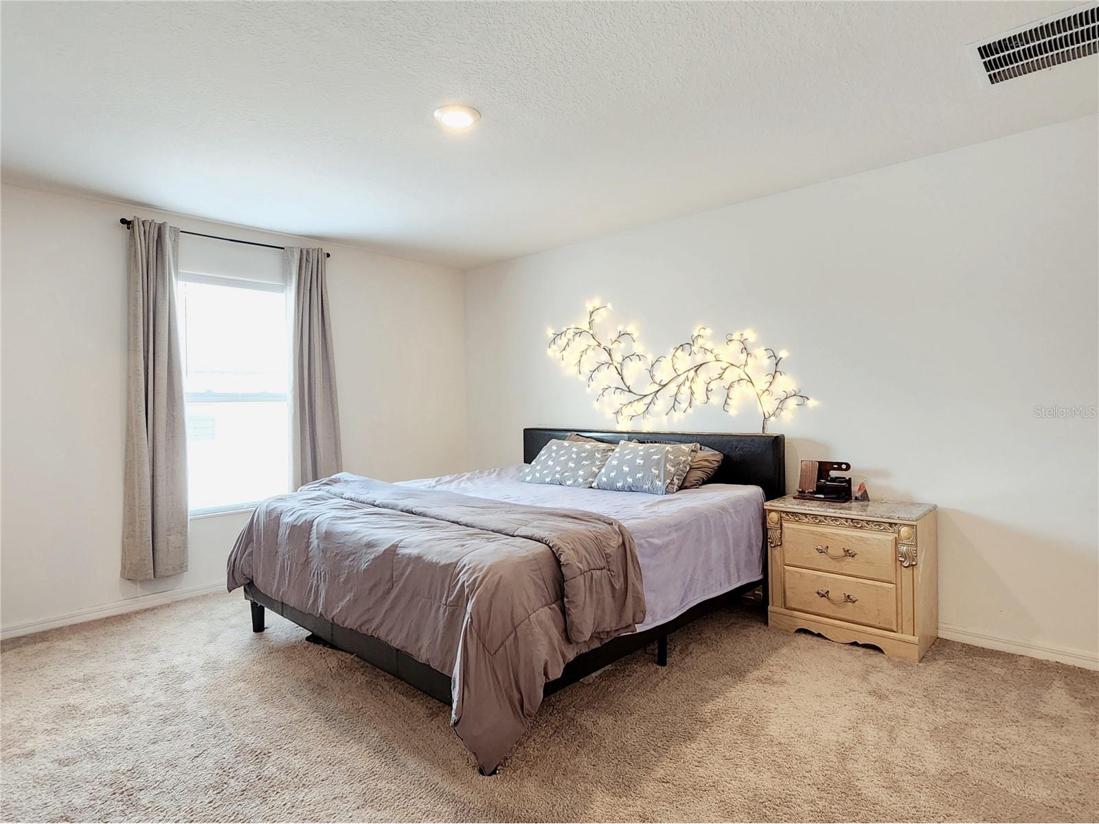 1679 Wynford Circle Tavares FL 32778 TB8510224 image20