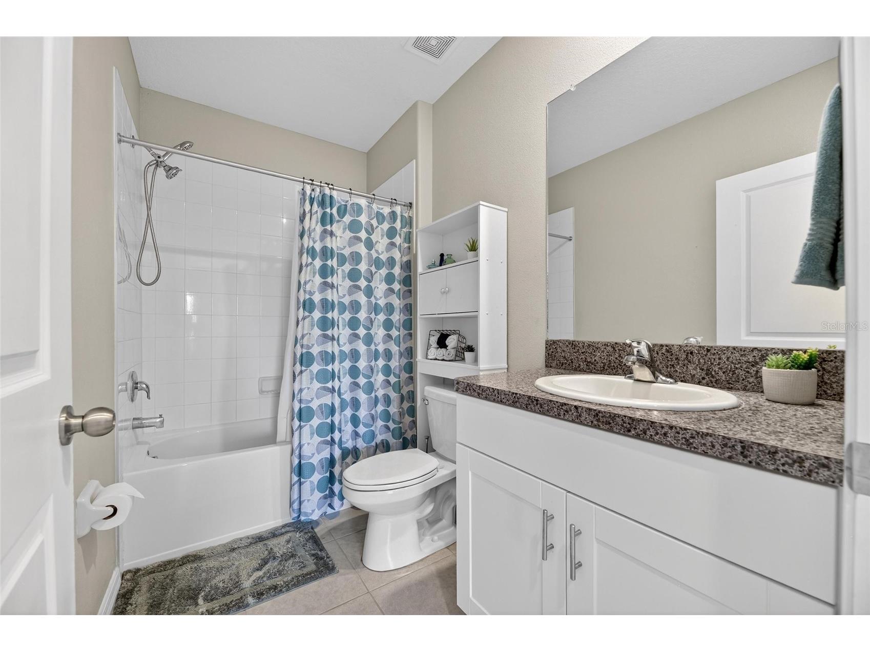 16791 Delia Street Wimauma FL 33598 TB8478890 image17