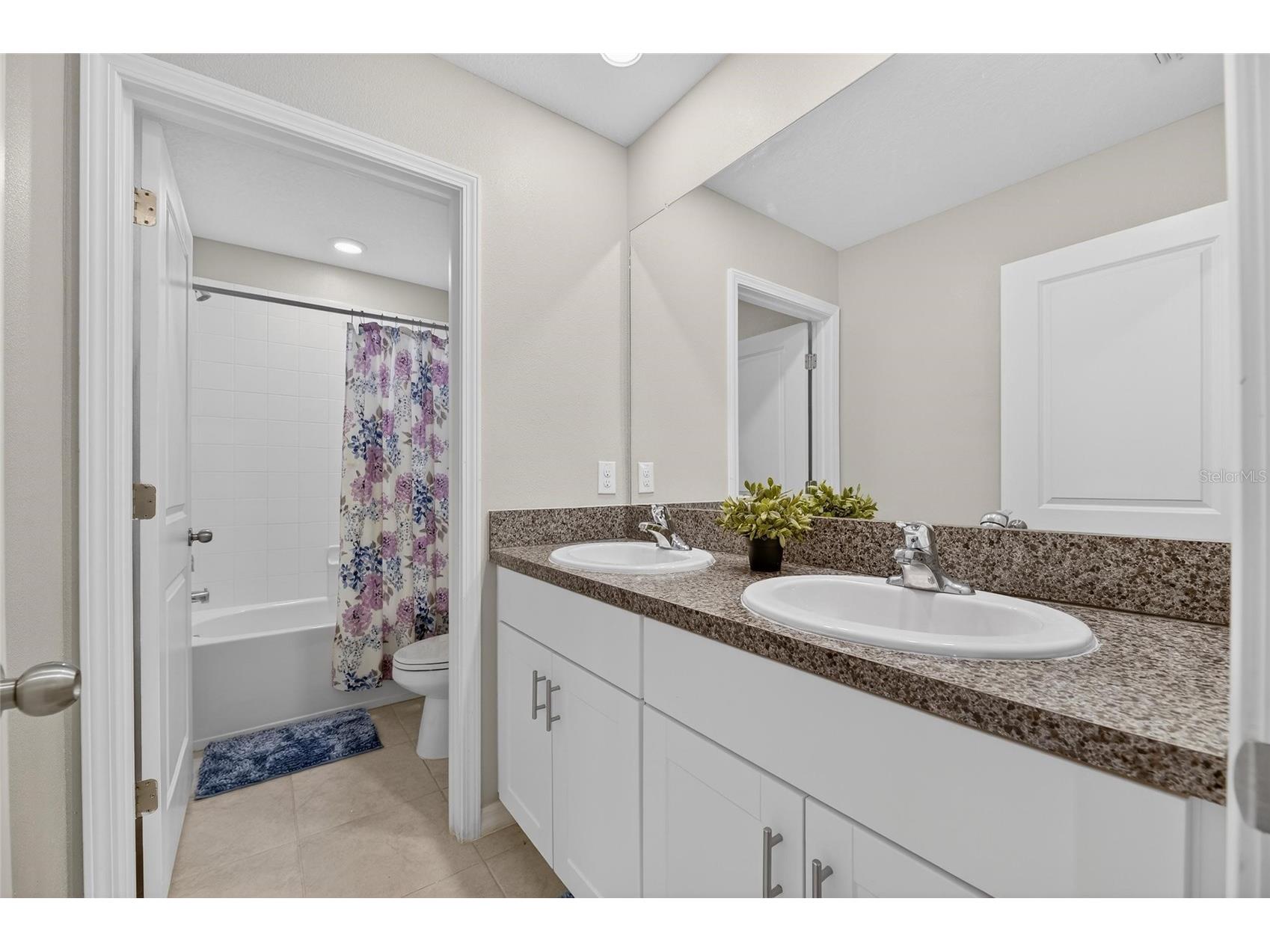 16791 Delia Street Wimauma FL 33598 TB8478890 image25