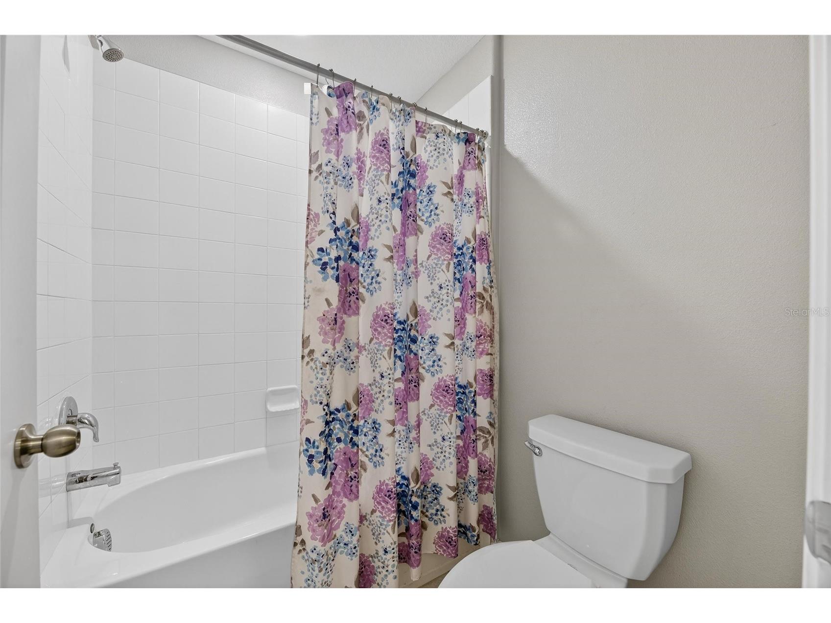 16791 Delia Street Wimauma FL 33598 TB8478890 image26