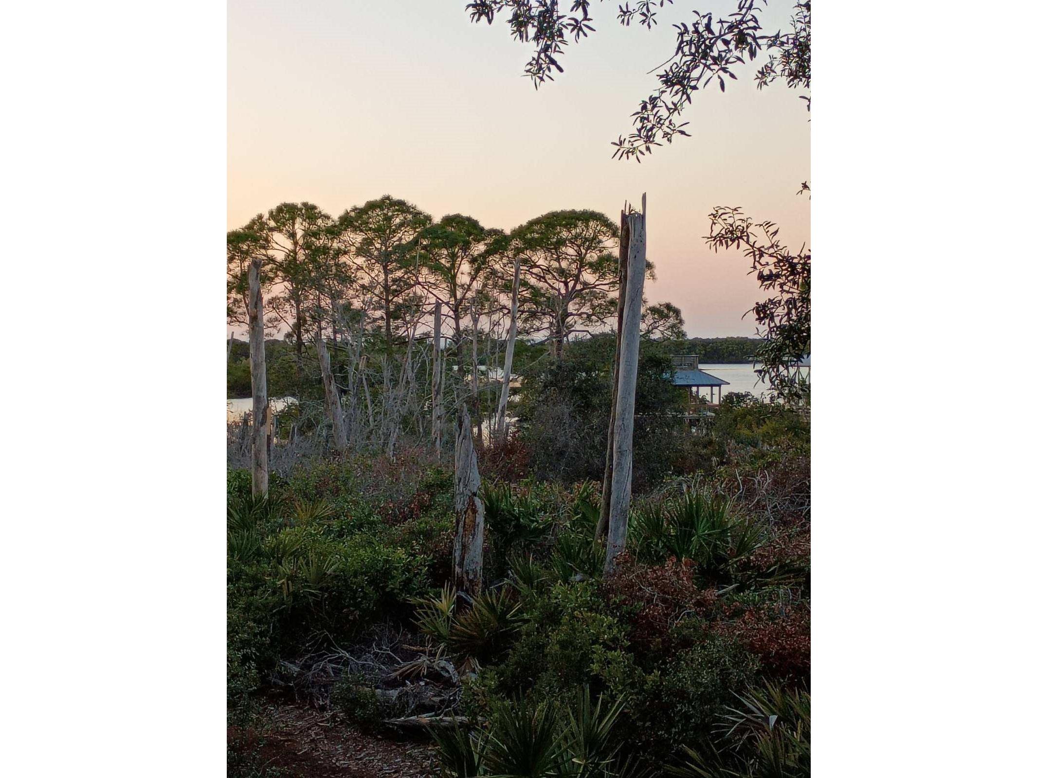 16791 Sandra Street Cedar Key FL 32625 GC534959 image43