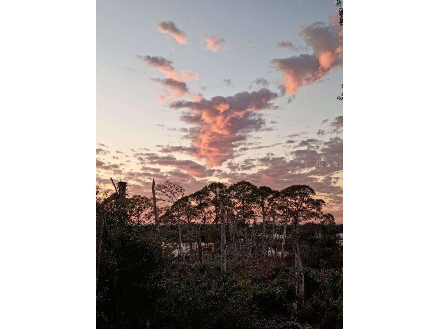 16791 Sandra Street Cedar Key FL 32625 GC534959 image44