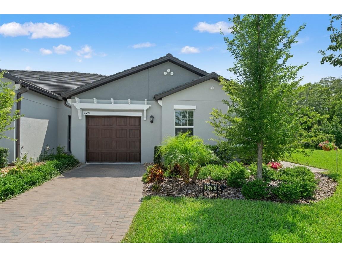 16793 Forge Surf Street Land O Lakes FL 34638 W7878039 image1