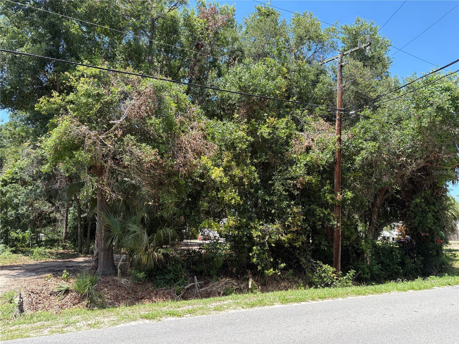 168 Canal Avenue Oak Hill FL 32759 O6408151 image1