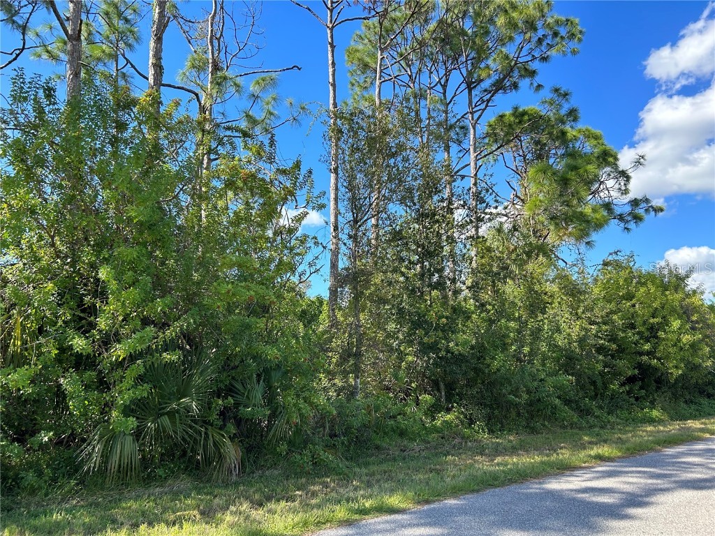 168 Capatola Street Port Charlotte FL 33948 C7483986 image6