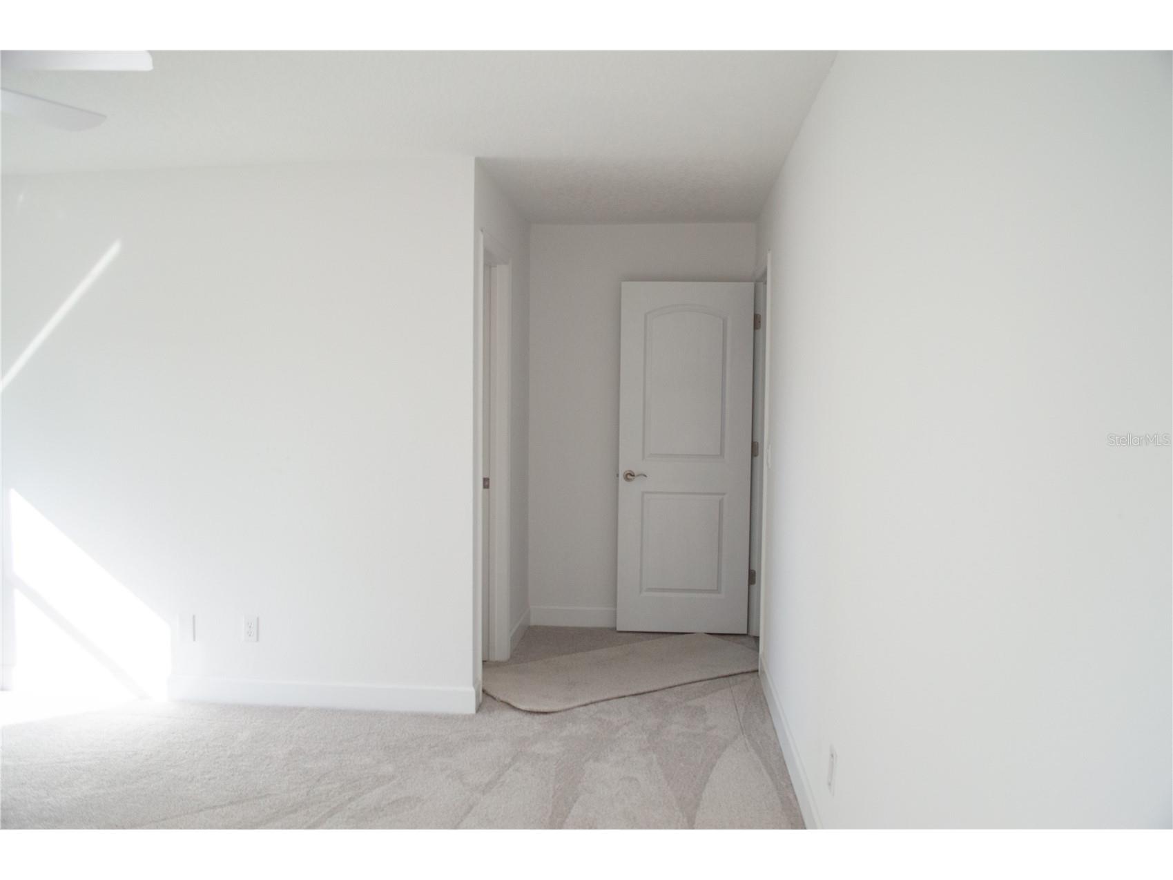 168 N Cory Drive Edgewater FL 32141 - INDIAN RIVER NS1087503 image4