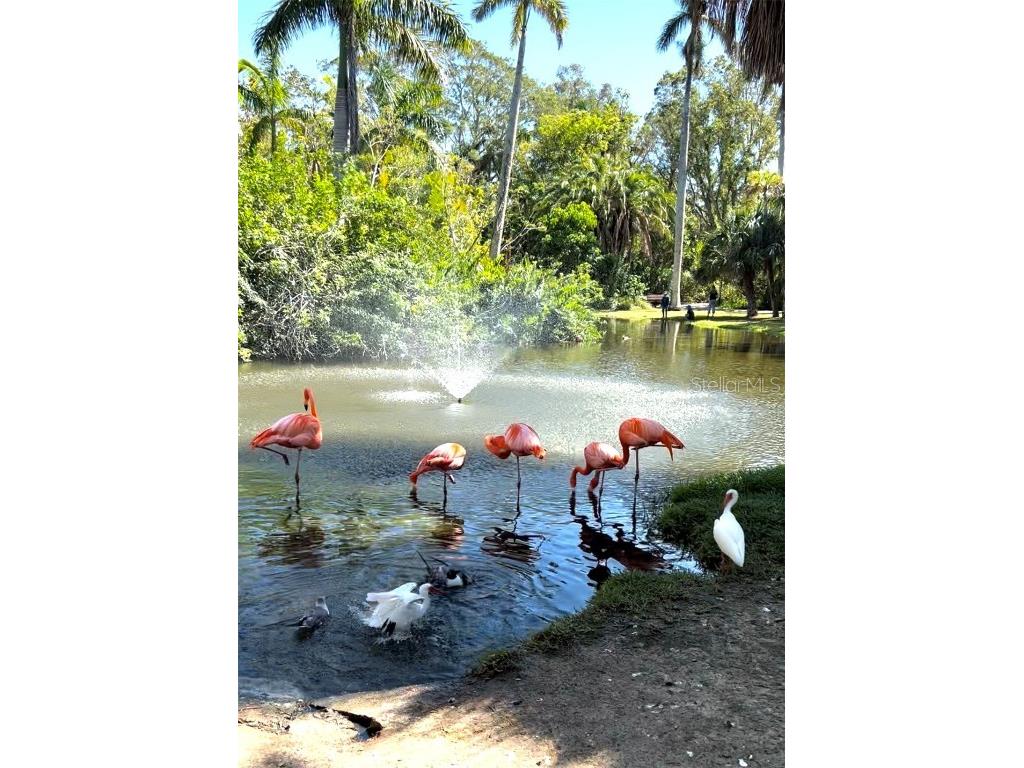 168 Rotonda Boulevard E Rotonda West FL 33947 A4651898 image3