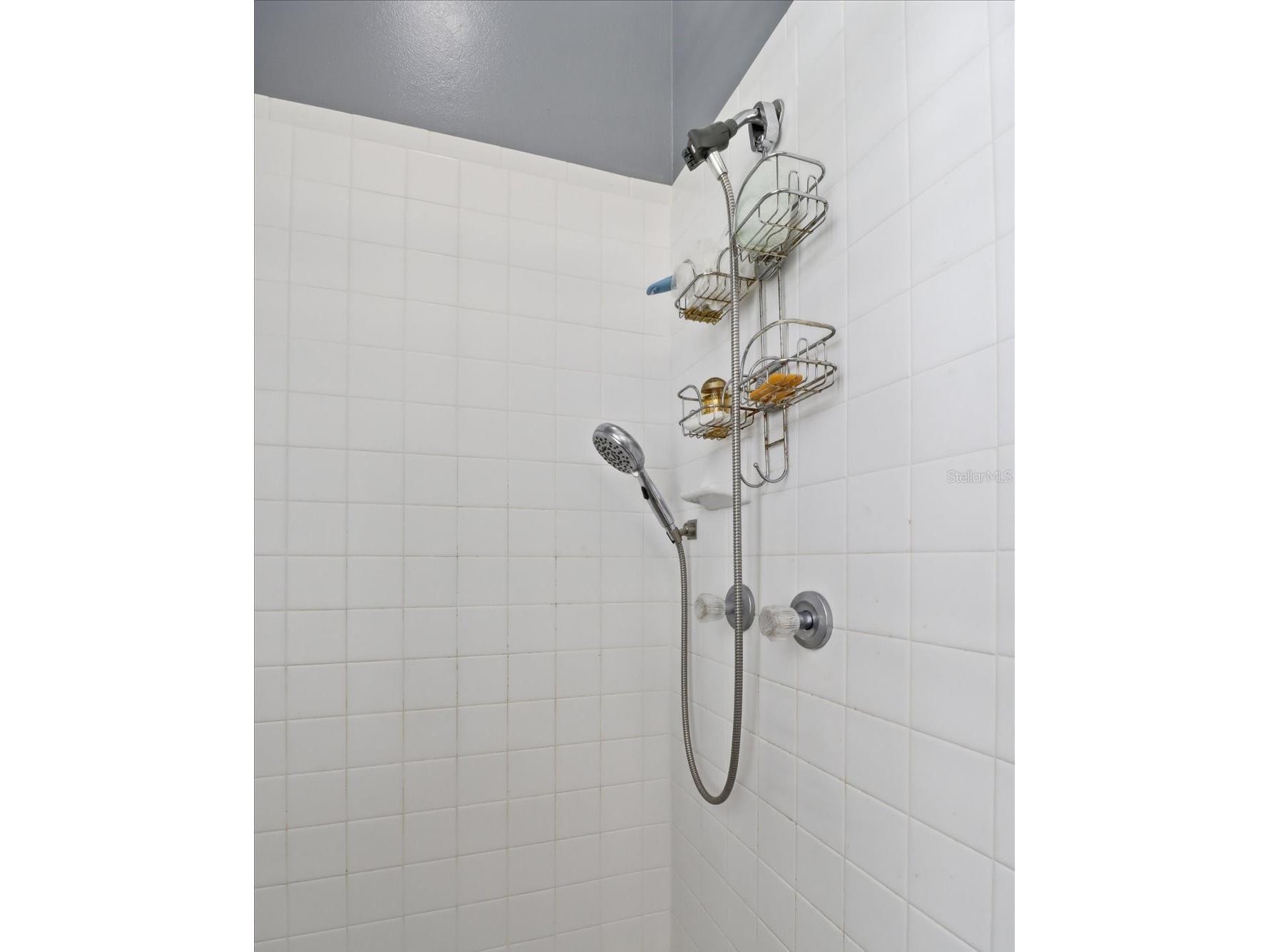 168 W Romany Loop Beverly Hills FL 34465 TB8516445 image31
