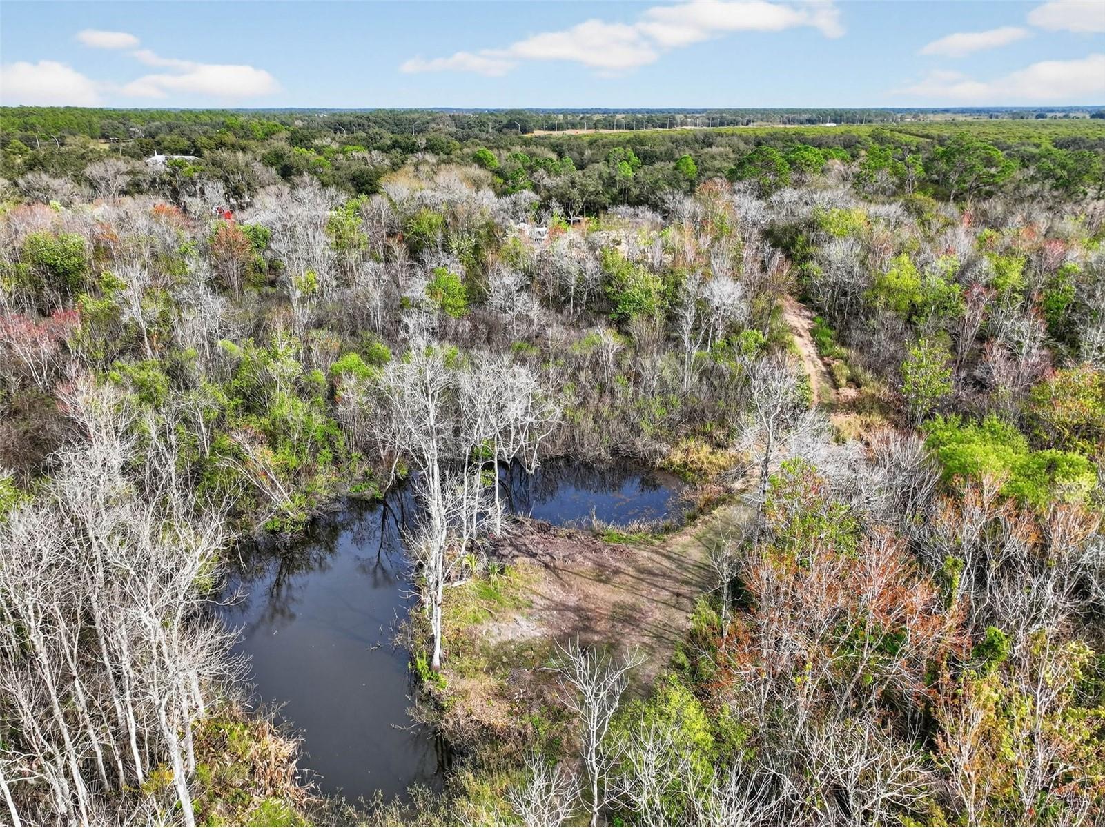 168 Walk In Water Creek Road Lake Wales FL 33898 L4958652 image9