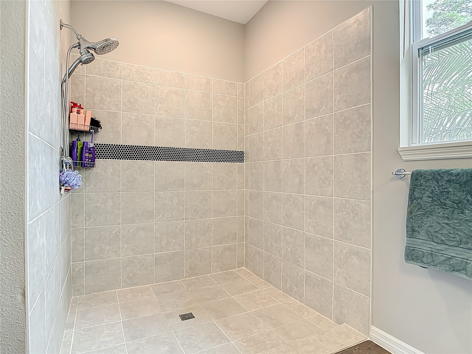 1680 5th Avenue Deland FL 32724 TB8454752 image30