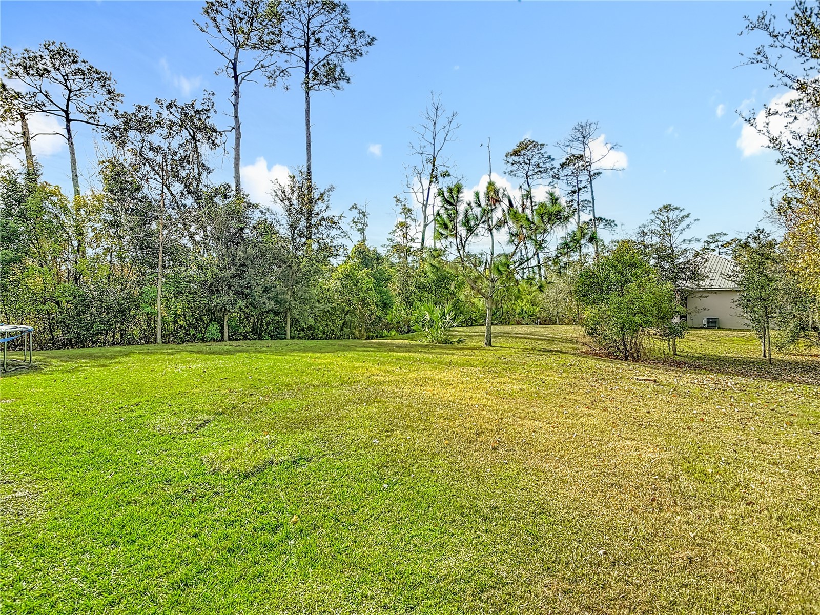 1680 5th Avenue Deland FL 32724 TB8454752 image40