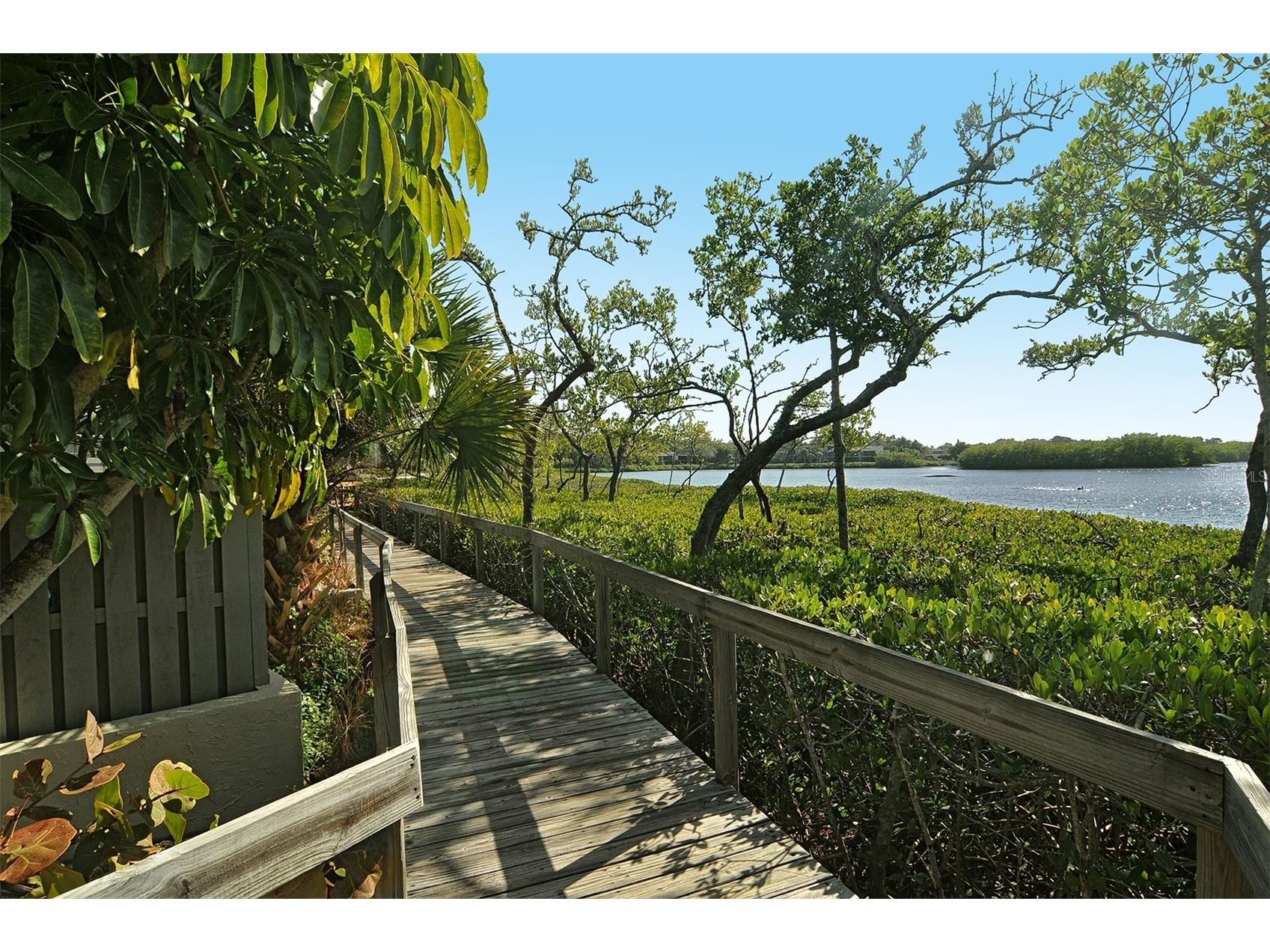 1680 Brookhouse Circle #BR209 Sarasota FL 34231 A4689449 image25