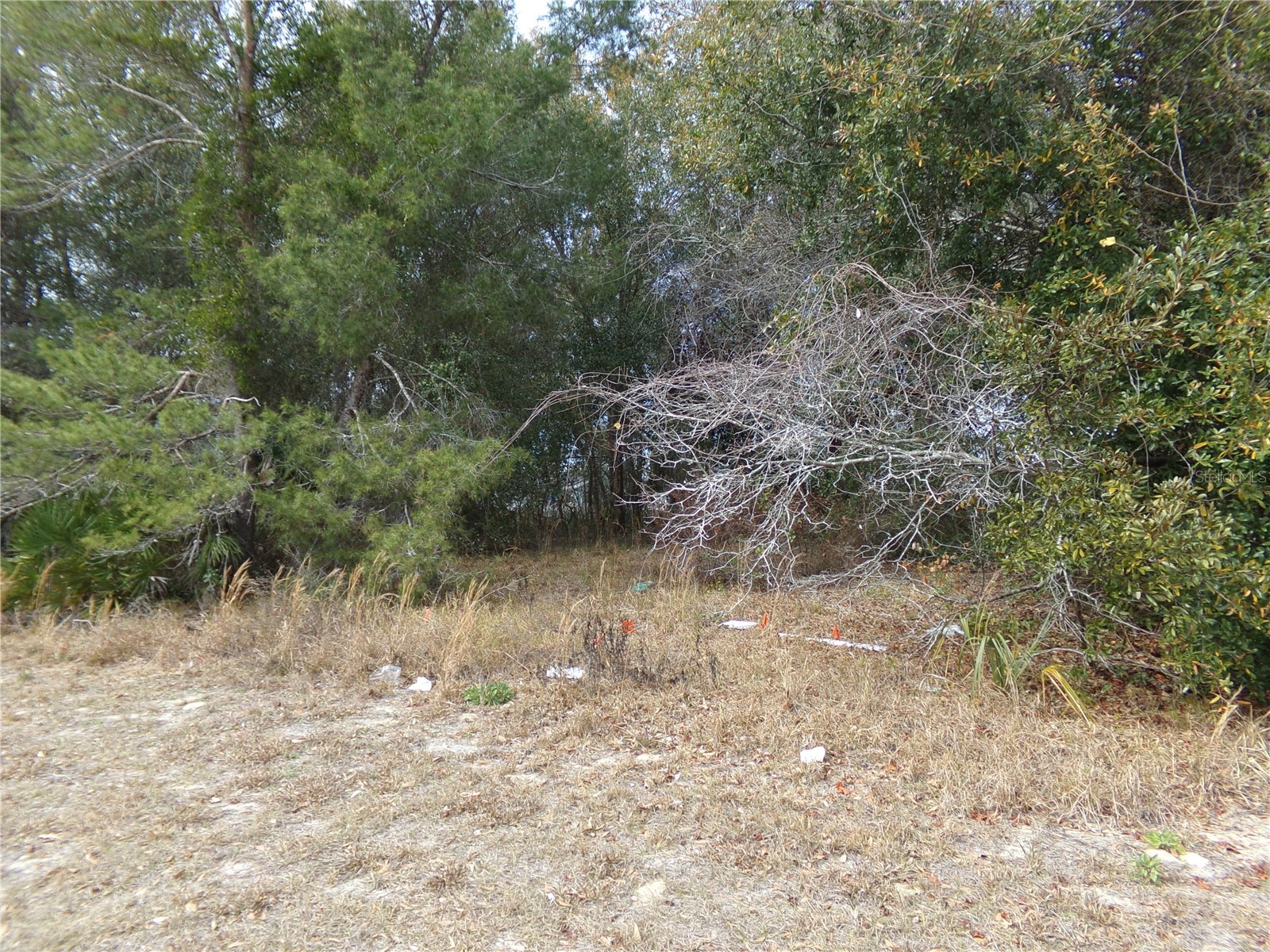 1680 Catalina Blvd Deltona FL 32738 O6381351 image2