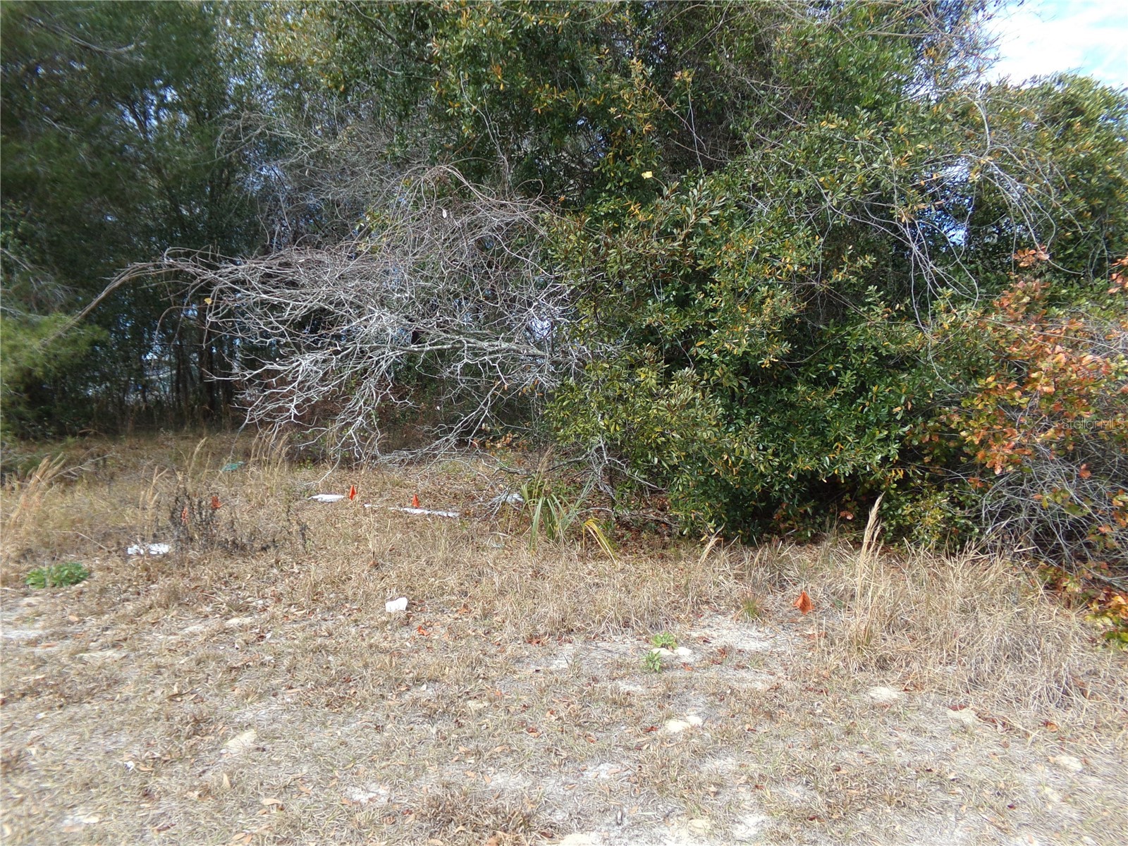 1680 Catalina Blvd Deltona FL 32738 O6381351 image3