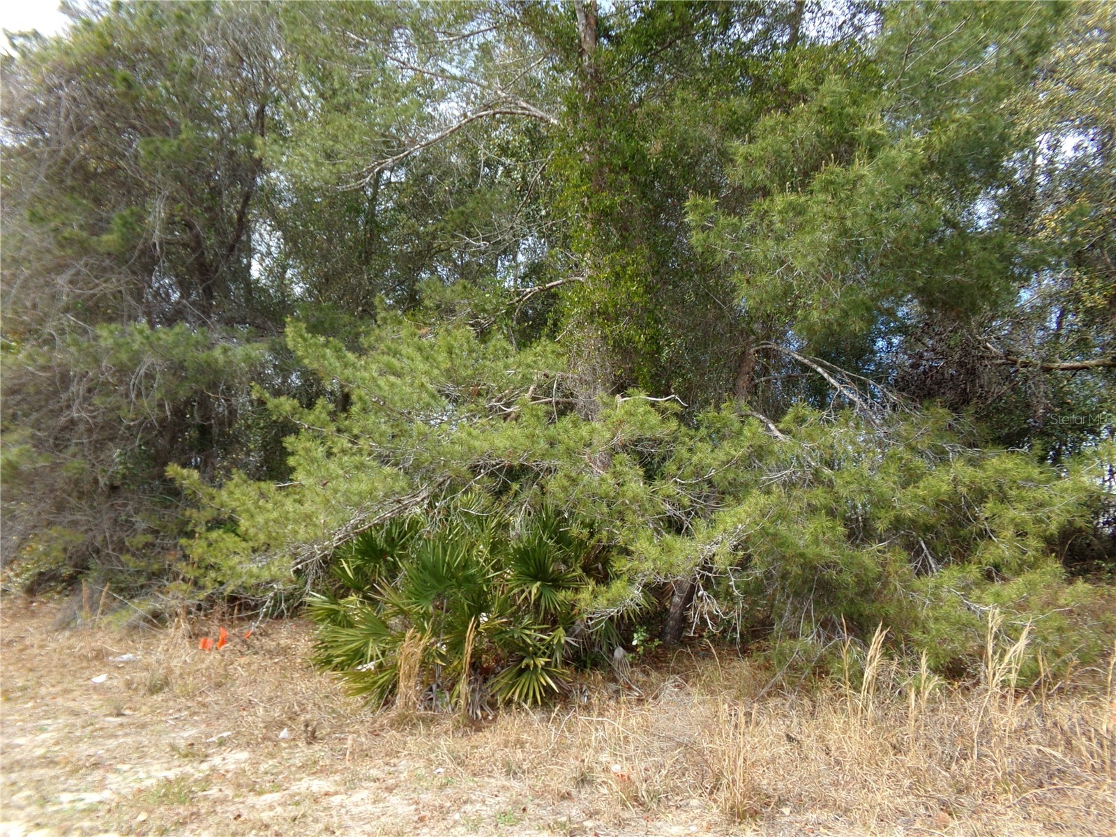 1680 Catalina Blvd Deltona FL 32738 O6381351 image4