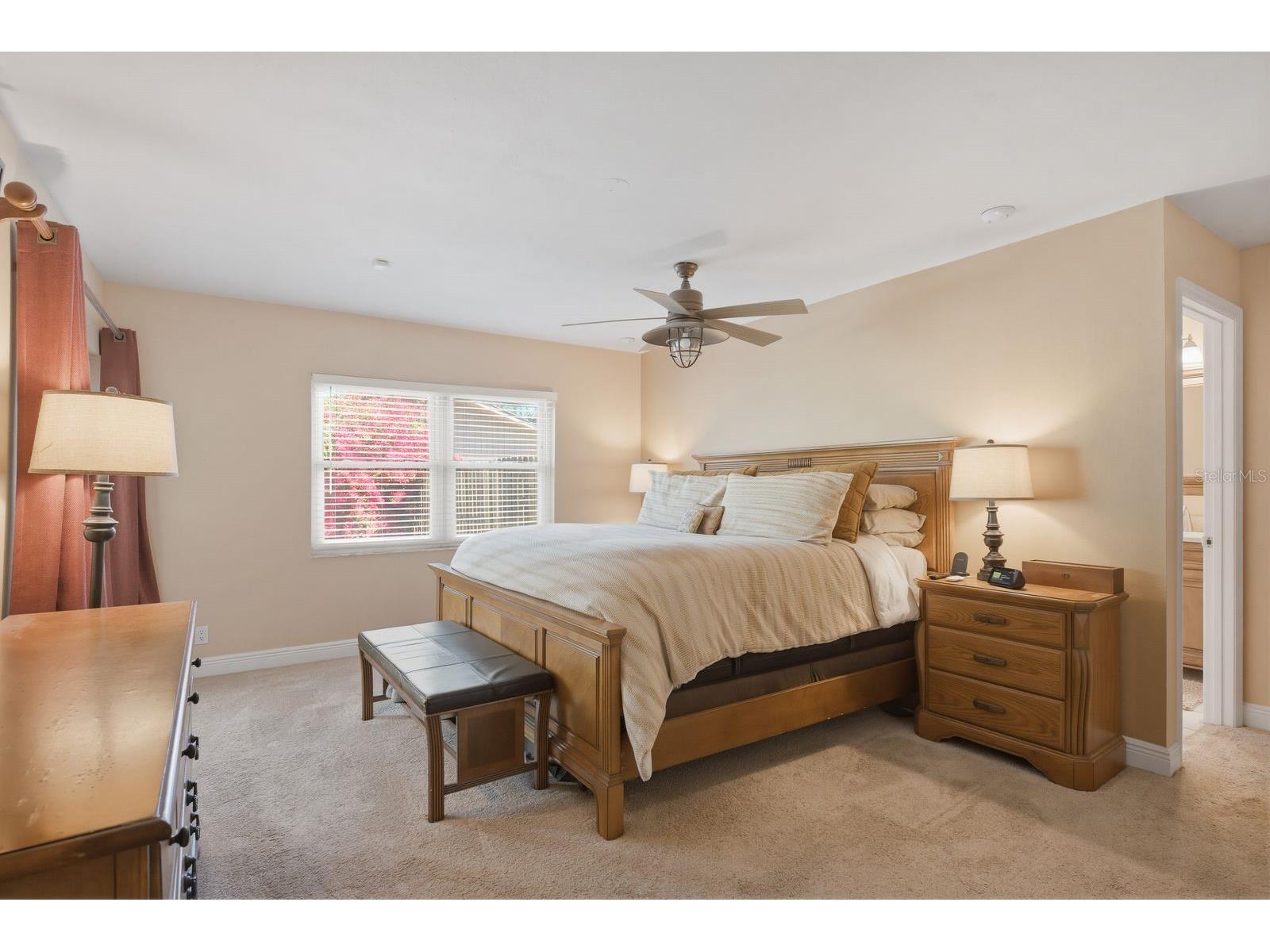 1680 Cinnamon Lane Dunedin FL 34698 TB8489178 image21