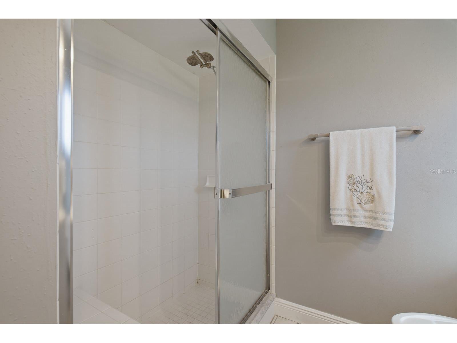 1680 Cinnamon Lane Dunedin FL 34698 TB8489178 image26