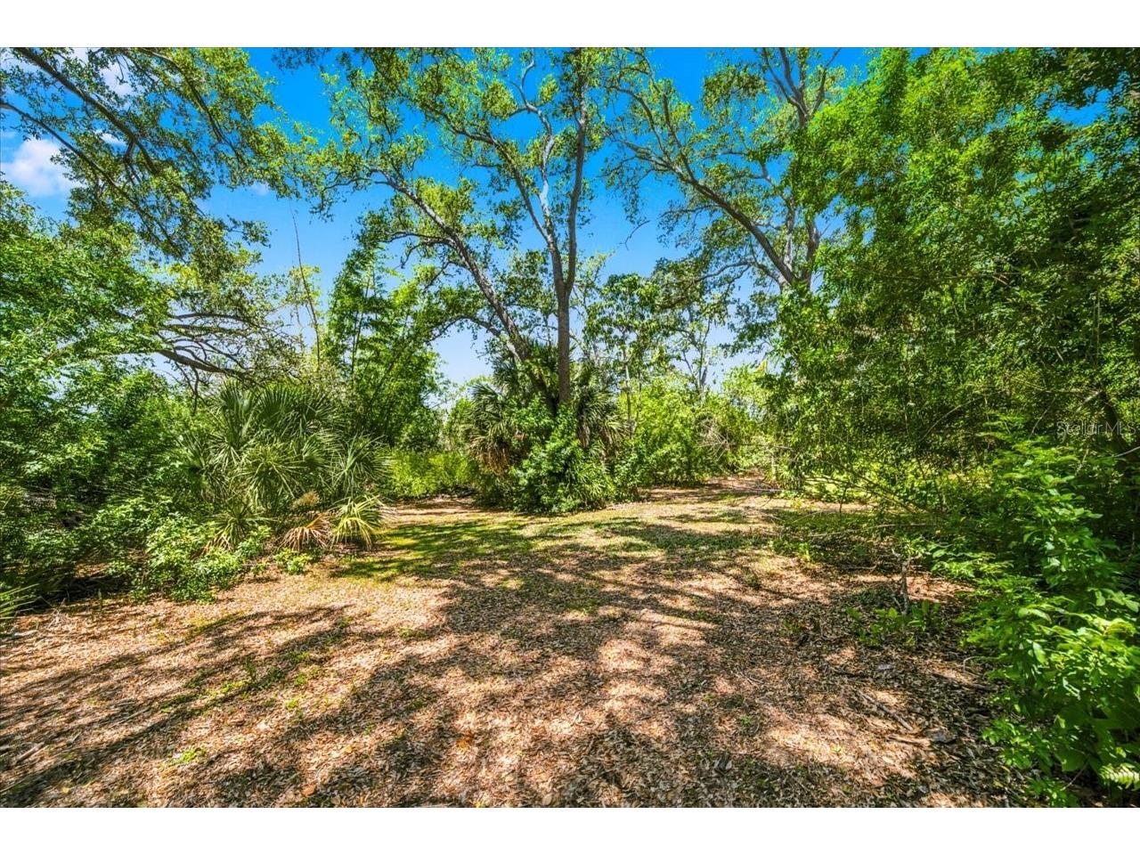 1680 Fox Road Clearwater FL 33764 TB8522143 image63