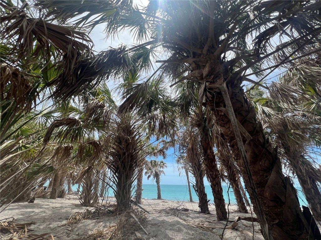 1680 Lemon Bay Drive Venice FL 34293 A4650853 image88