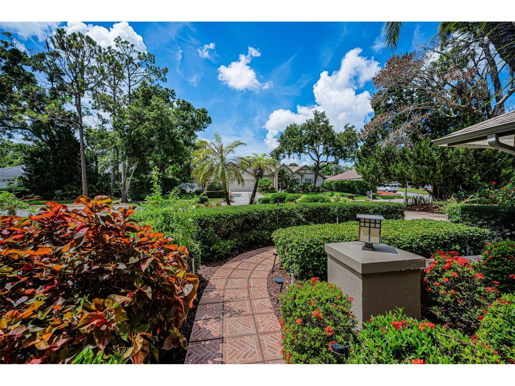 1680 Sparkling Court Dunedin FL 34698 TB8502772 image3