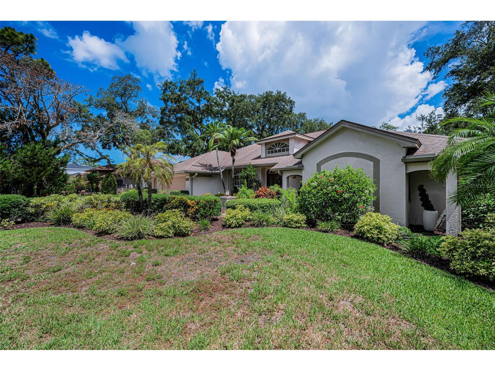 1680 Sparkling Court Dunedin FL 34698 TB8502772 image5