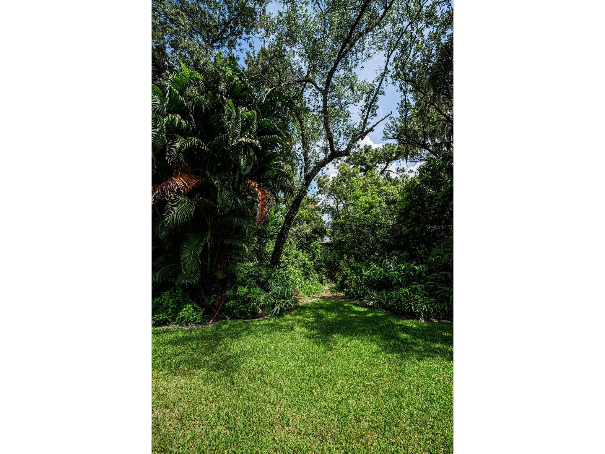 1680 Sparkling Court Dunedin FL 34698 TB8502772 image65
