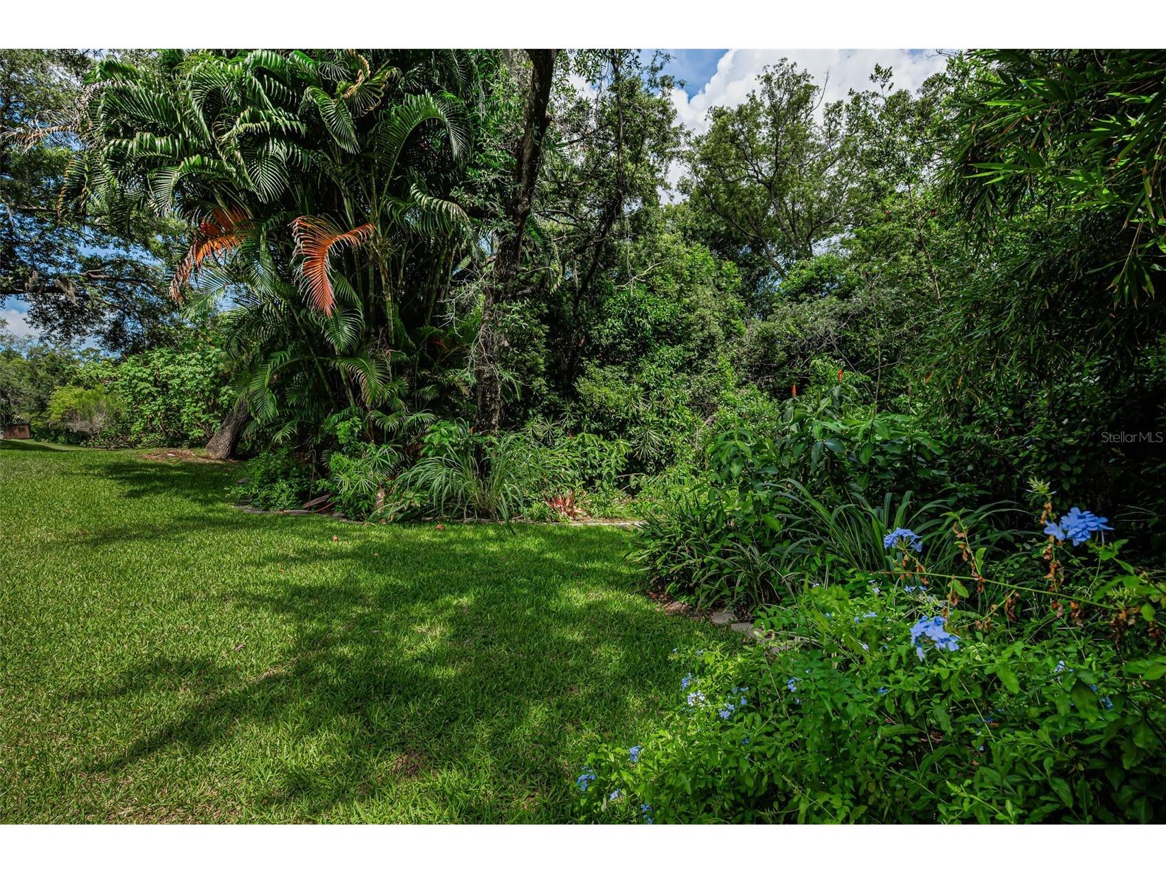 1680 Sparkling Court Dunedin FL 34698 TB8502772 image66