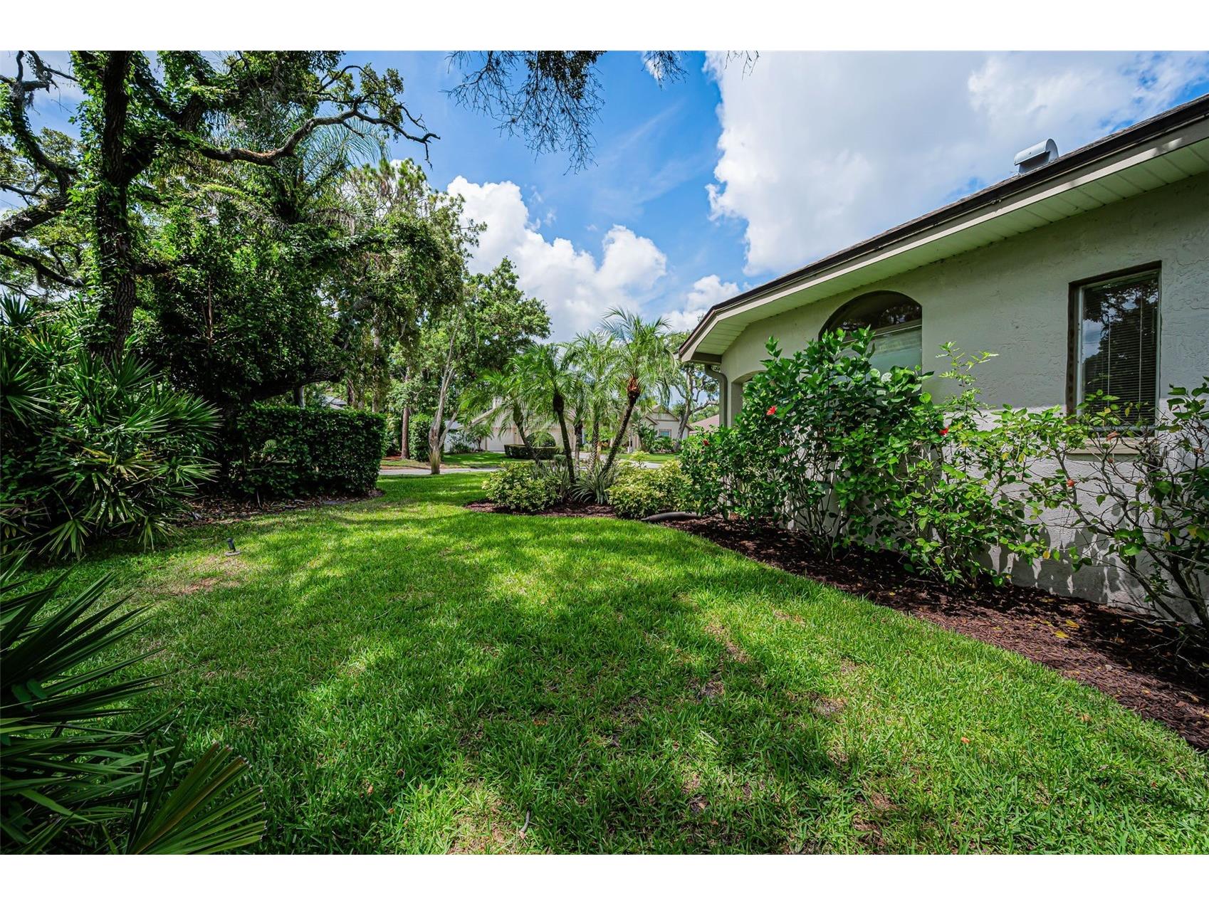 1680 Sparkling Court Dunedin FL 34698 TB8502772 image71