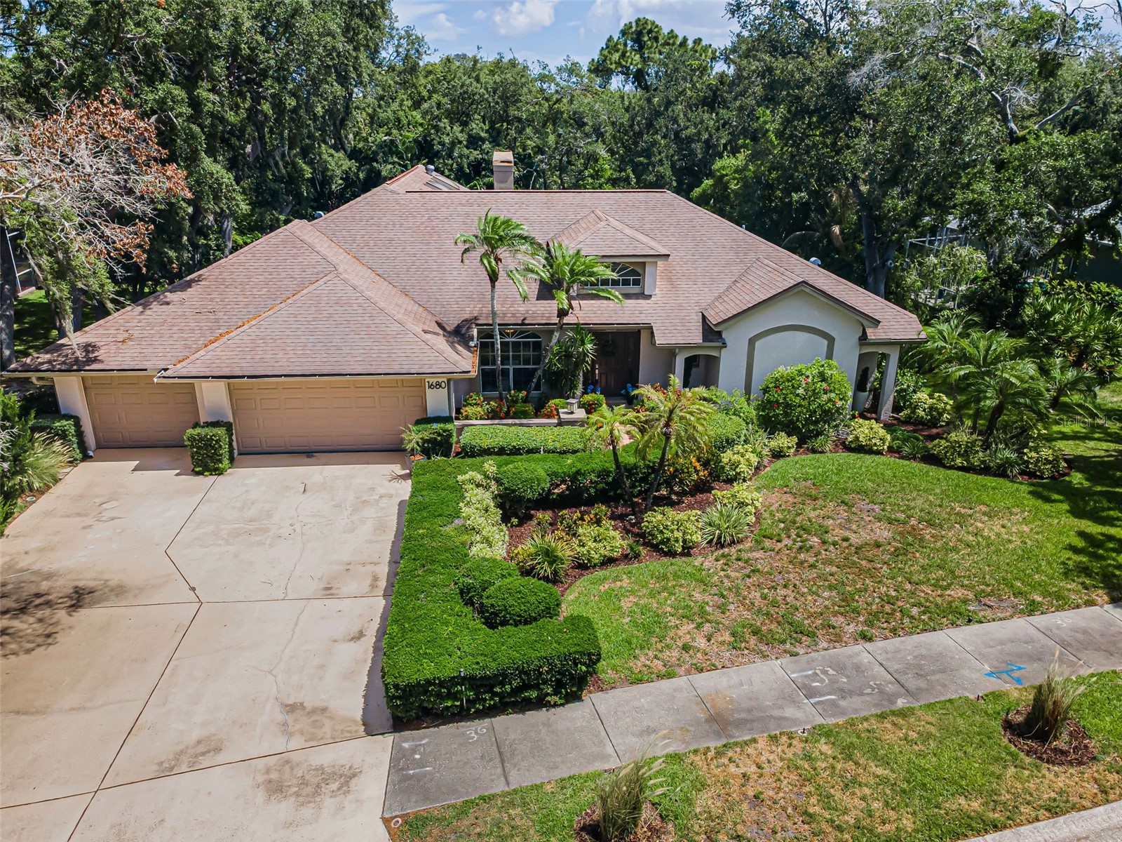 1680 Sparkling Court Dunedin FL 34698 TB8502772 image75