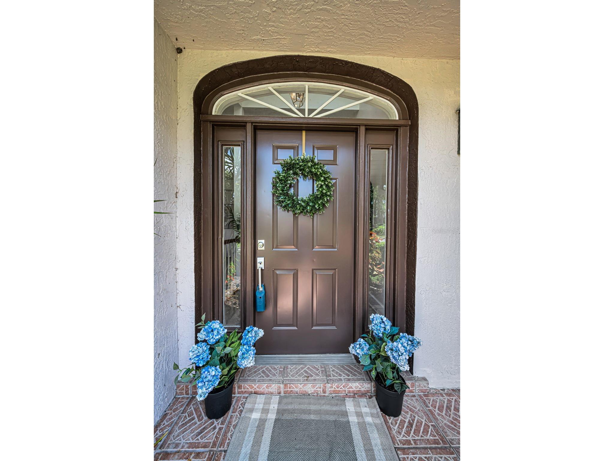 1680 Sparkling Court Dunedin FL 34698 TB8502772 image8