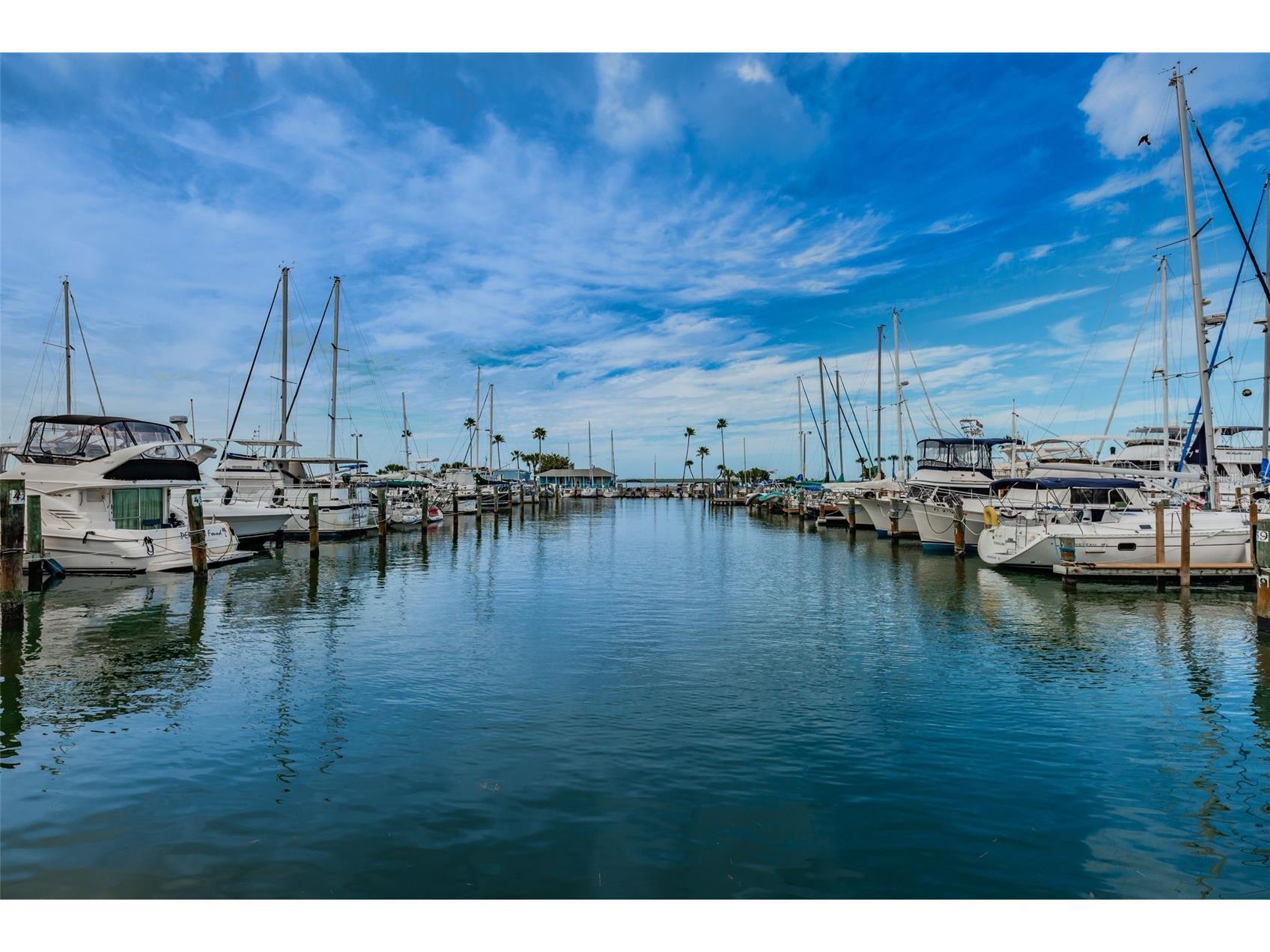 1680 Sparkling Court Dunedin FL 34698 TB8502772 image85