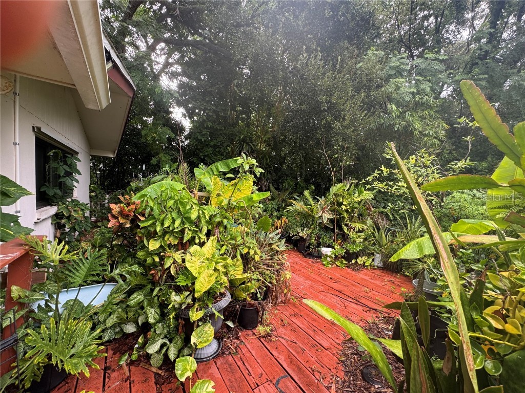 1680 Sunset Point Road Clearwater FL 33755 TB8421898 image19