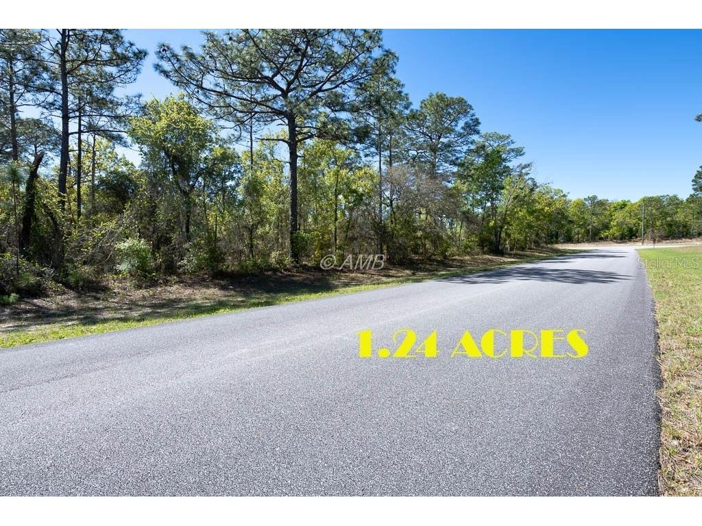 1680 W Donner Drive Citrus Springs FL 34434 OM675151 image1