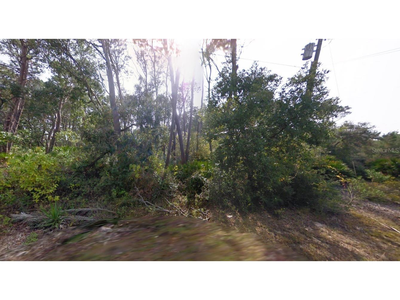 16800 Anna St Cedar Key FL 32625 A4693360 image2