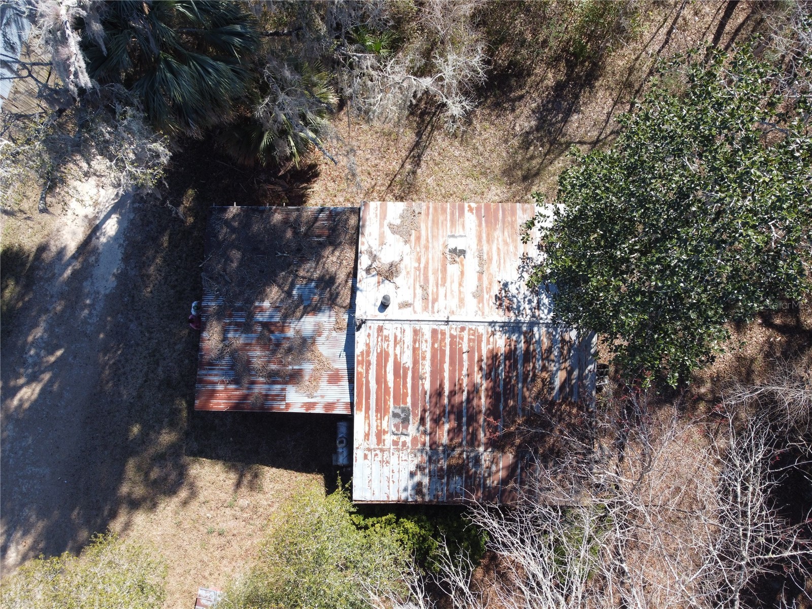 16800 NE 16th Place Silver Springs FL 34488 OM717963 image21