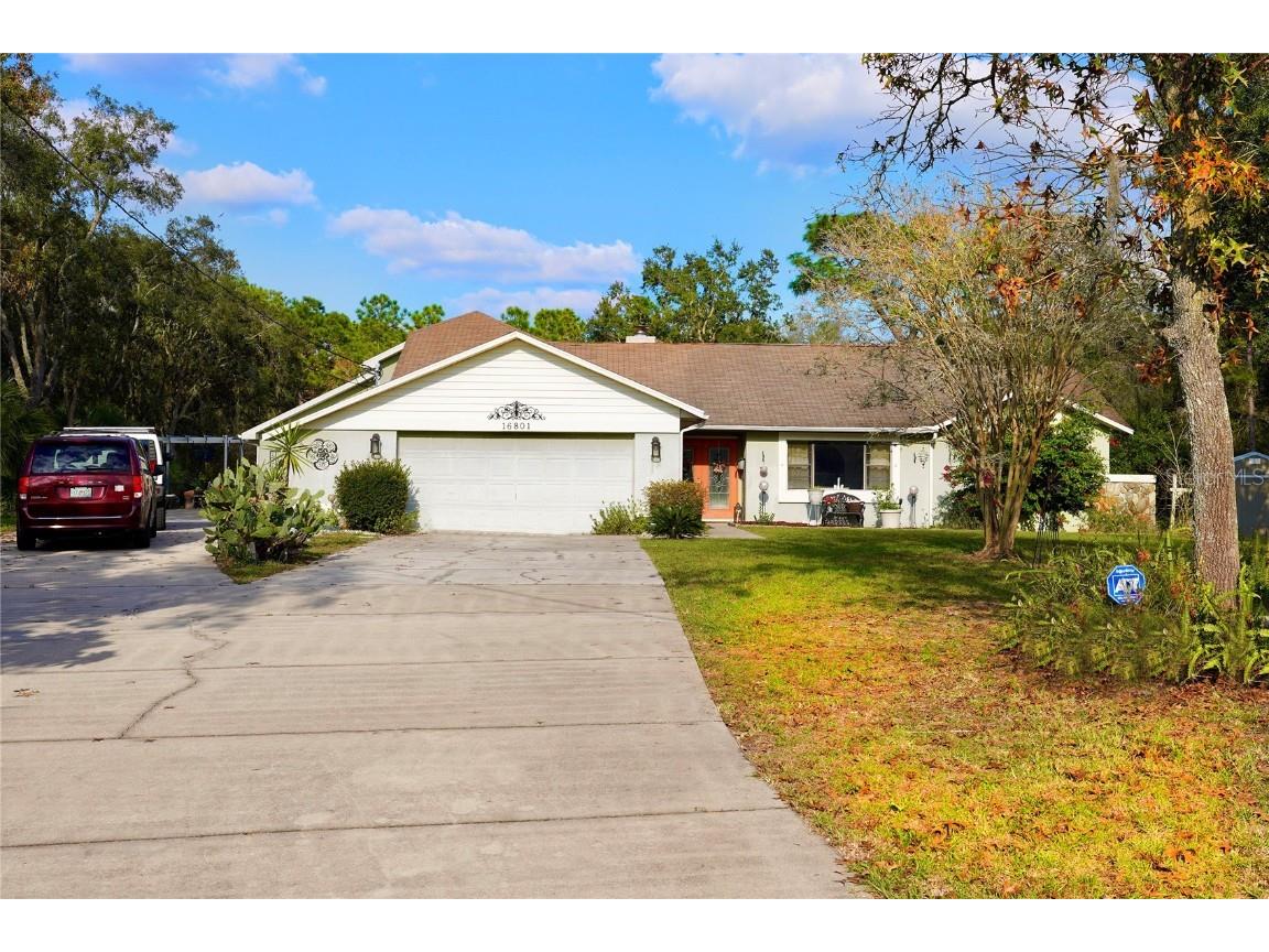 16801 Richloam Lane Spring Hill FL 34610 T3417932 image1