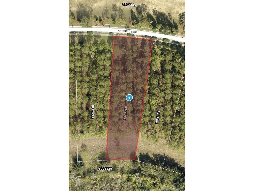 16802 Artimino Loop Montverde FL 34756 - LAKE APOPKA G5107842 image2