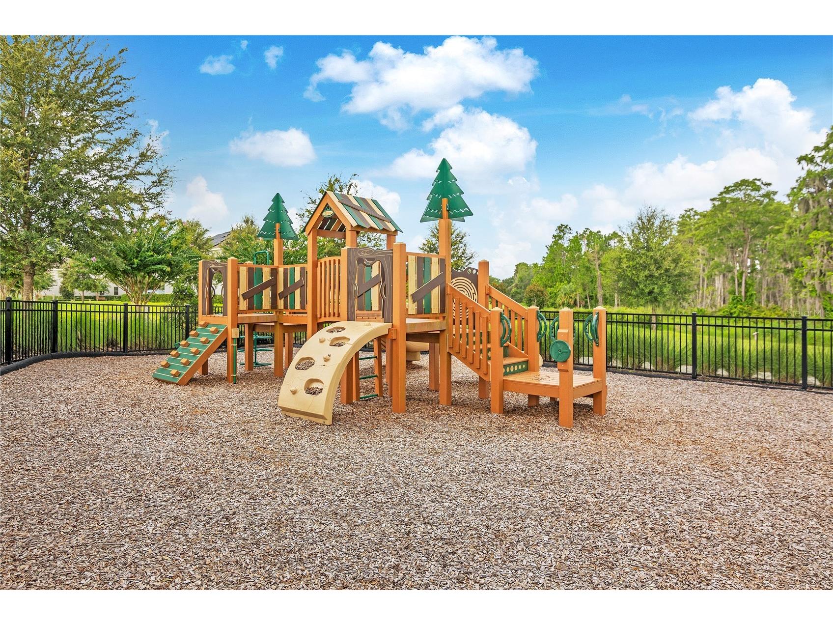 16802 Oakboro Street Winter Garden FL 34787 O6425489 image31