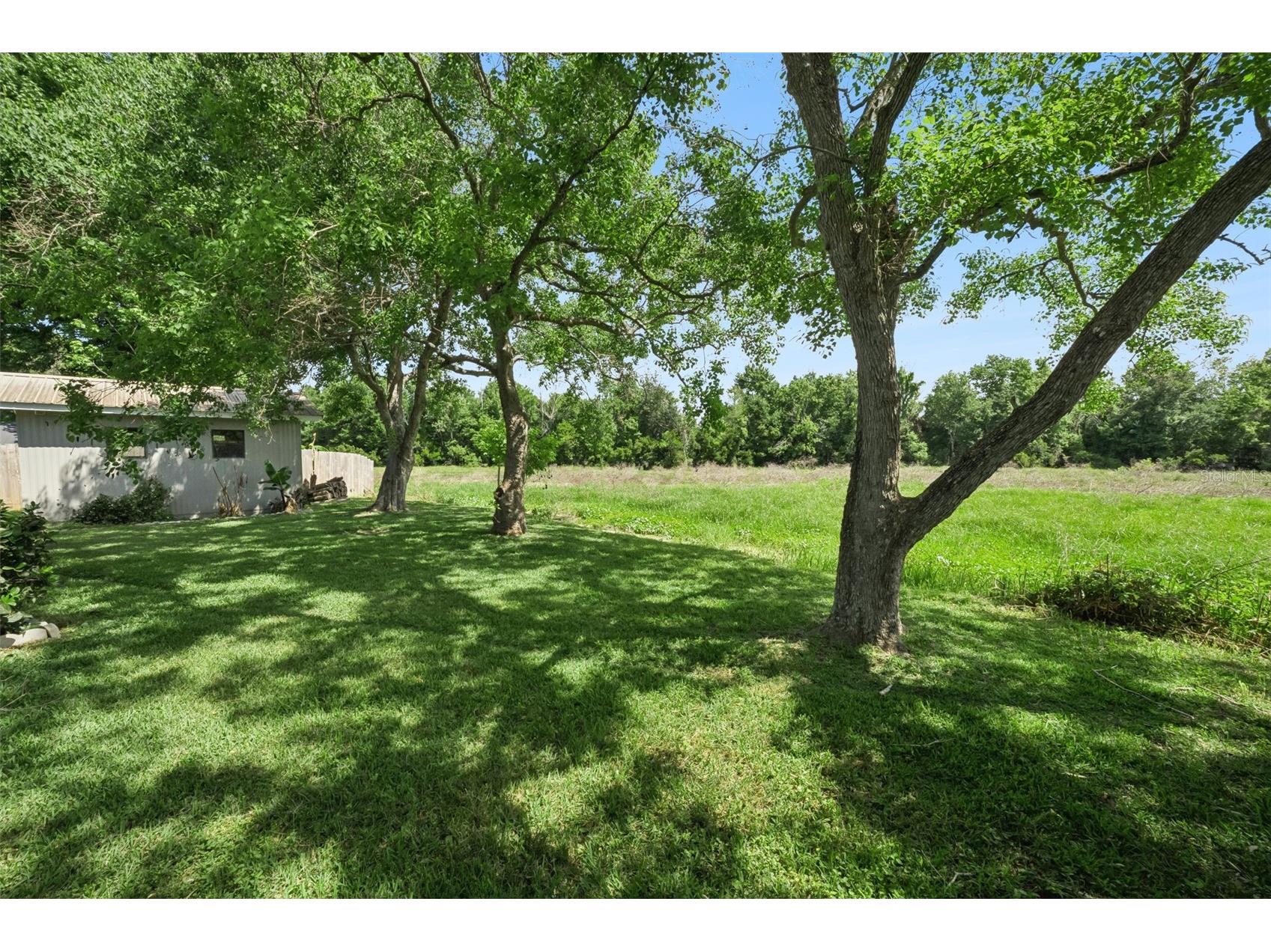 16802 Sugar Berry Lane Montverde FL 34756 G5112099 image25