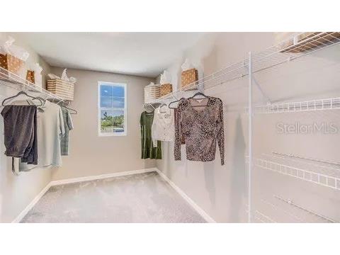 16803 Delia Street Wimauma FL 33598 TB8503162 image7