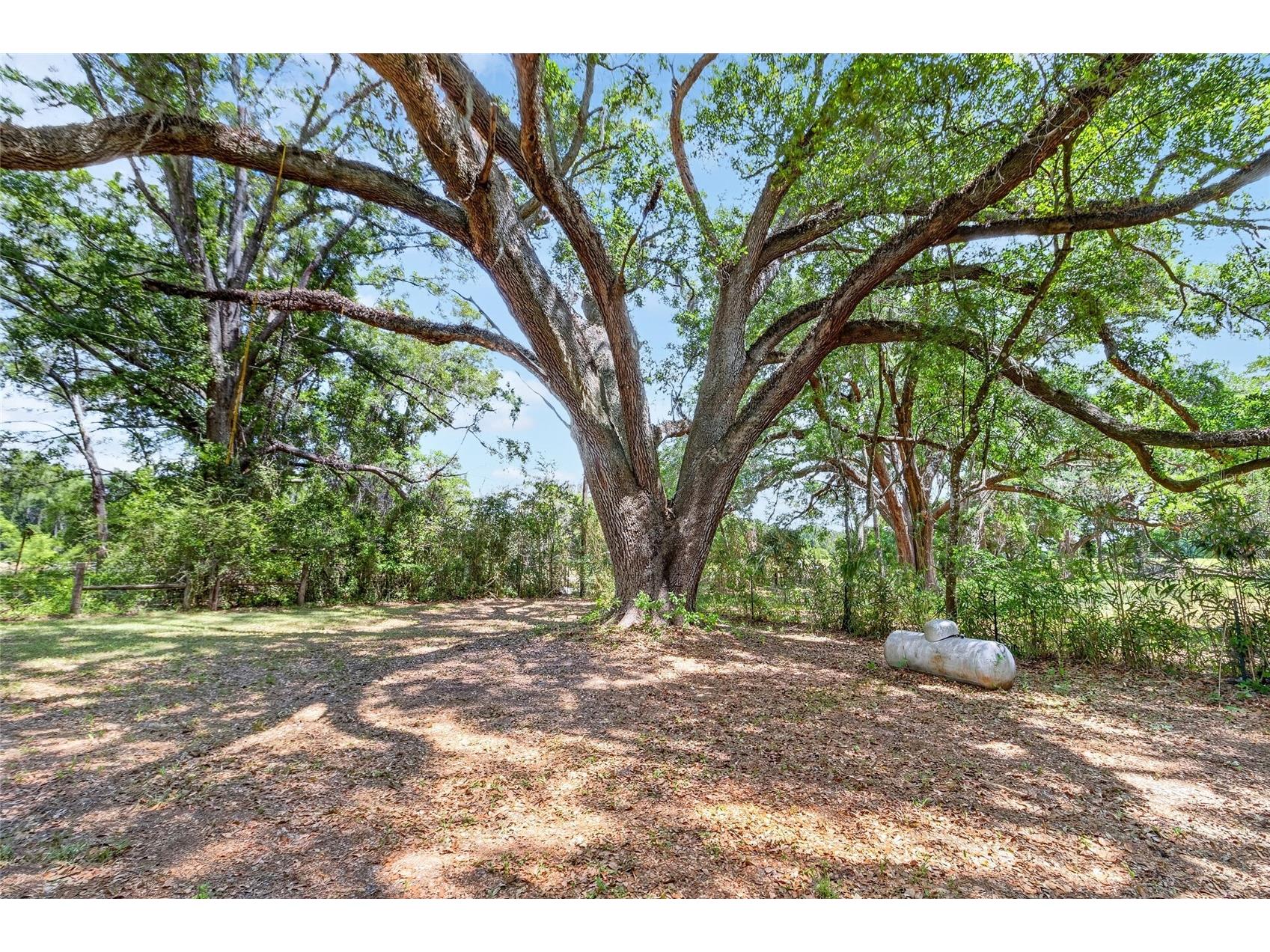 16803 NW State Road 45 High Springs FL 32643 GC538600 image34