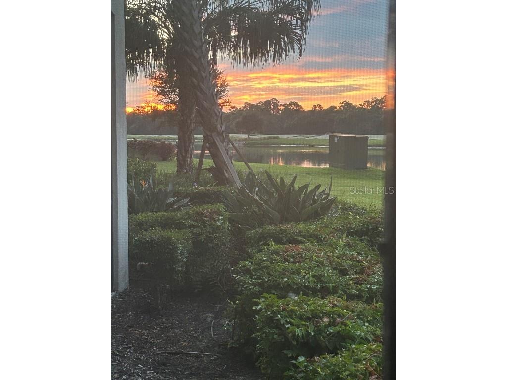 16804 Vardon Terrace #103 Bradenton FL 34211 A4666595 image15