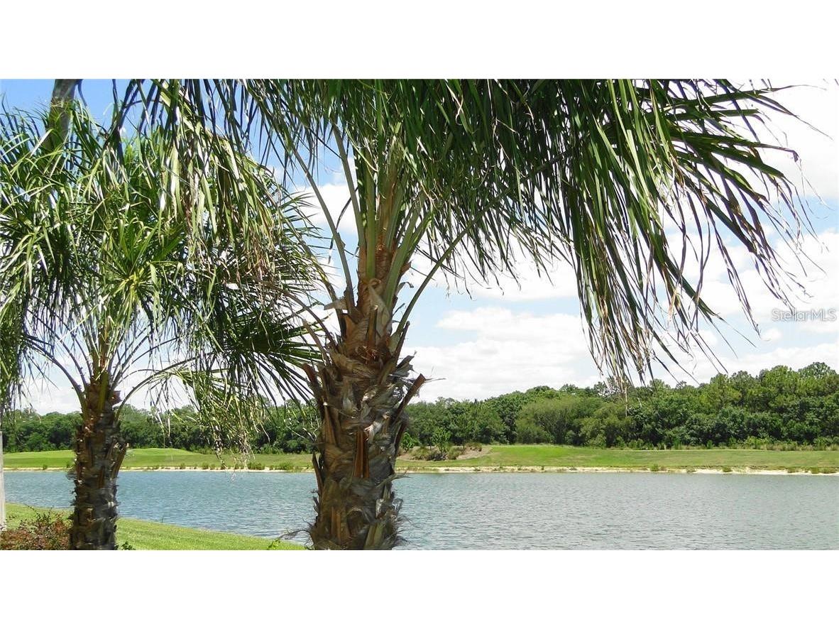 16804 Vardon Terrace #105 Bradenton FL 34211 A4692651 image16