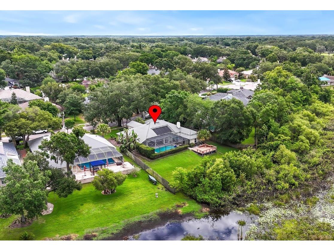 16804 Windsor Park Drive Lutz FL 33549 TB8385980 image1