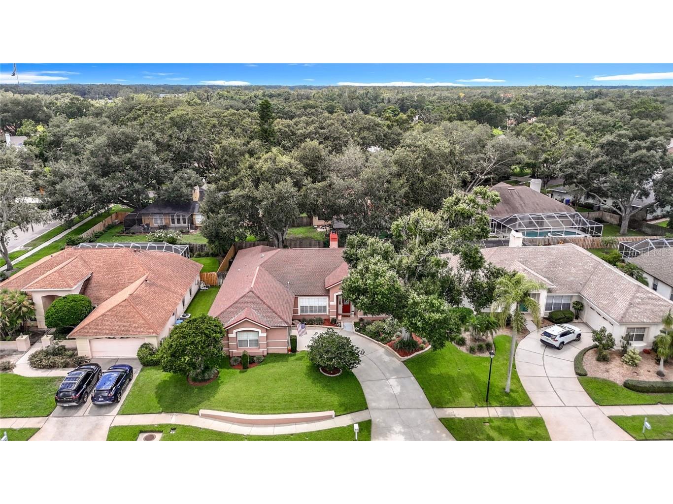 16804 Woburn Lane Lutz FL 33549 TB8412220 image64